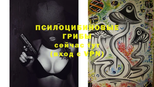 кокаин Белокуриха