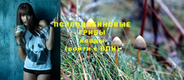 кокаин Белокуриха