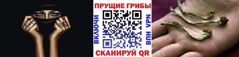 Галлюциногенные грибы мухоморы Верхняя Пышма
